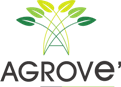 Agrove Freelance Website Designing client 2